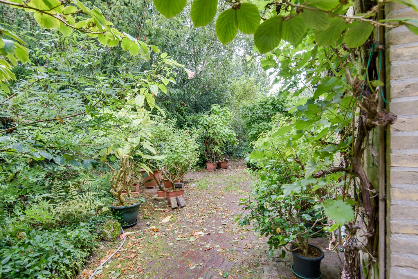 Photo 59 of Biezenweide 15