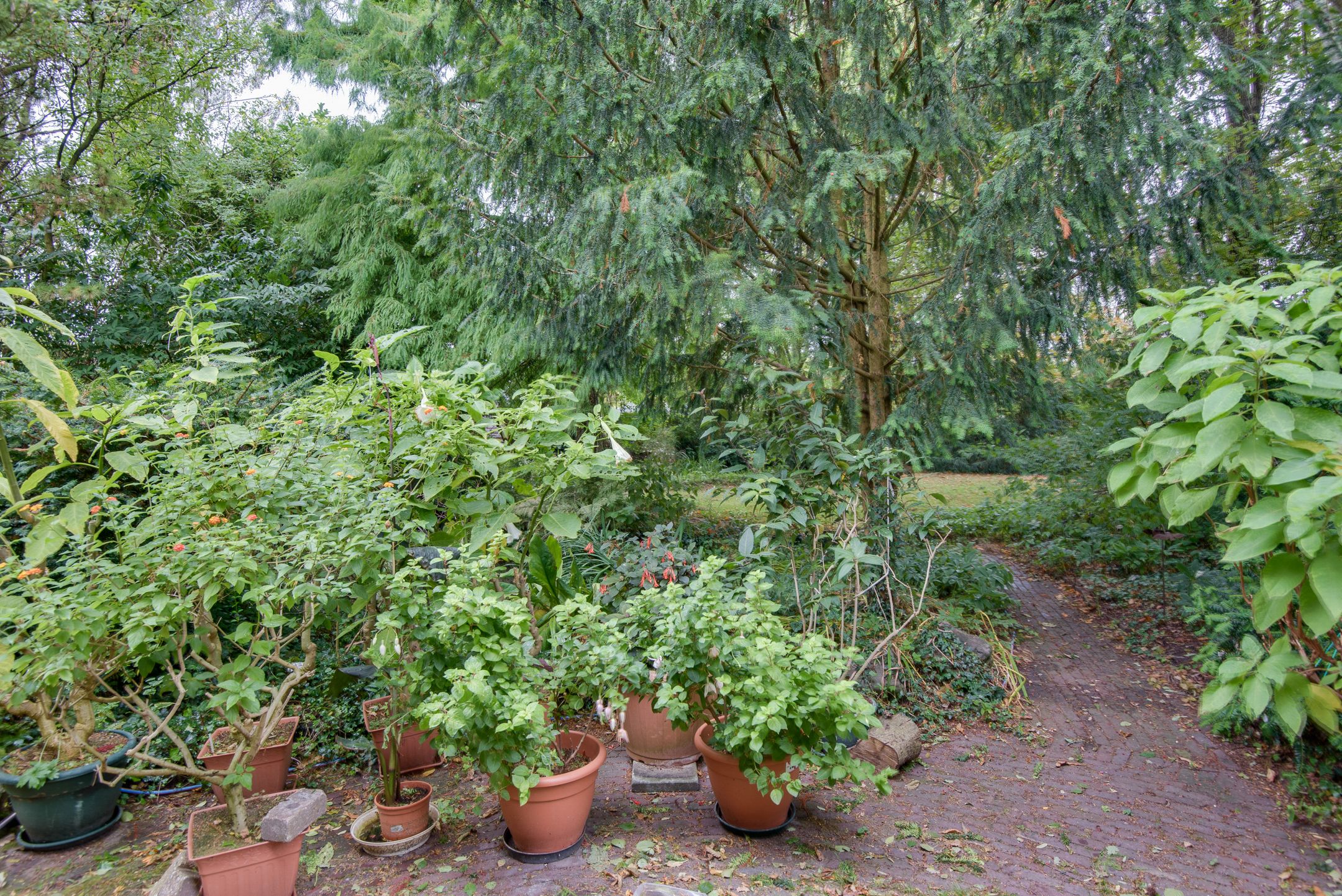 Photo 60 of Biezenweide 15