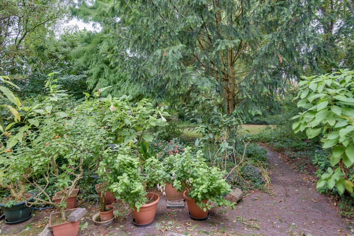 Foto 60 van Biezenweide 15