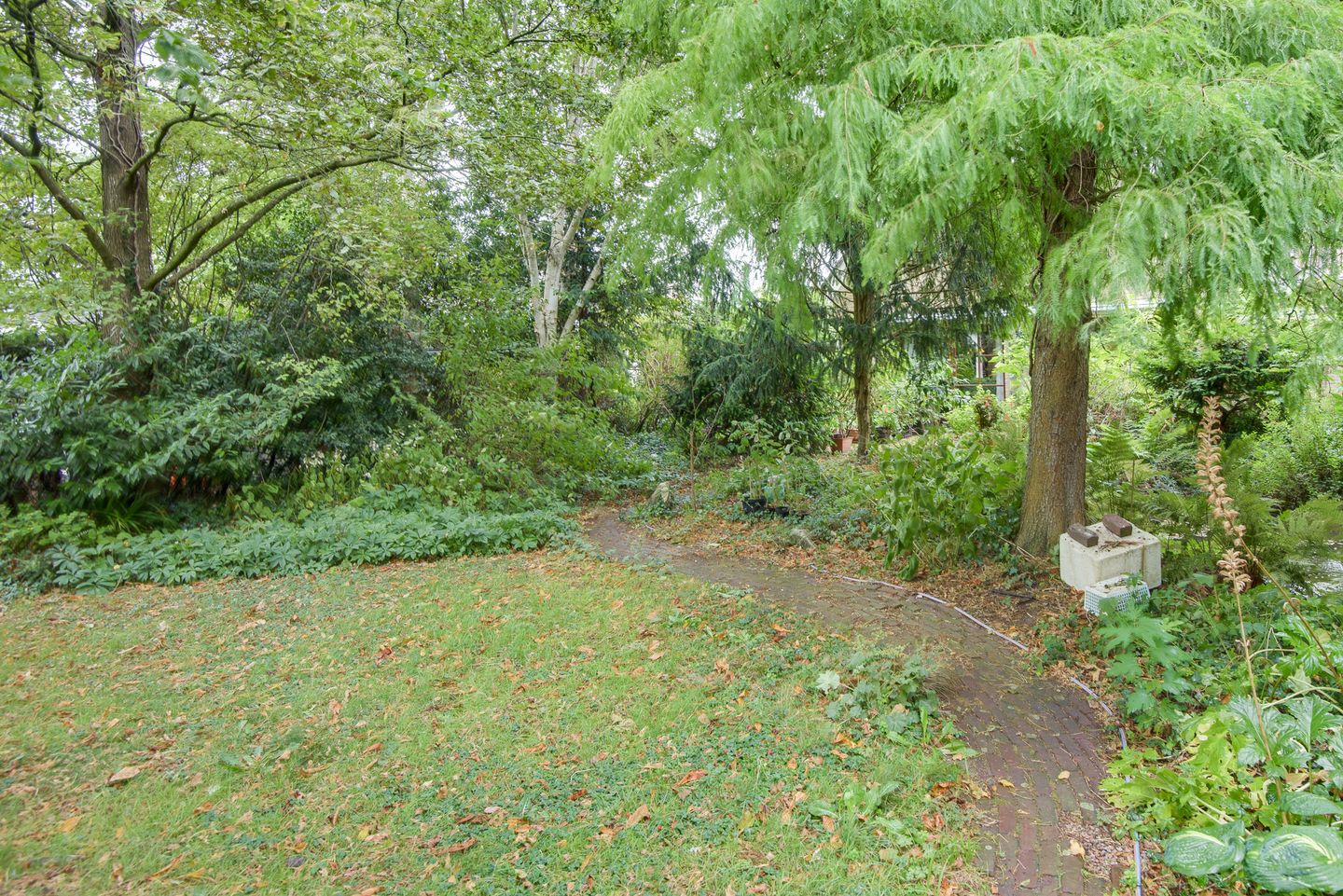 Photo 64 of Biezenweide 15