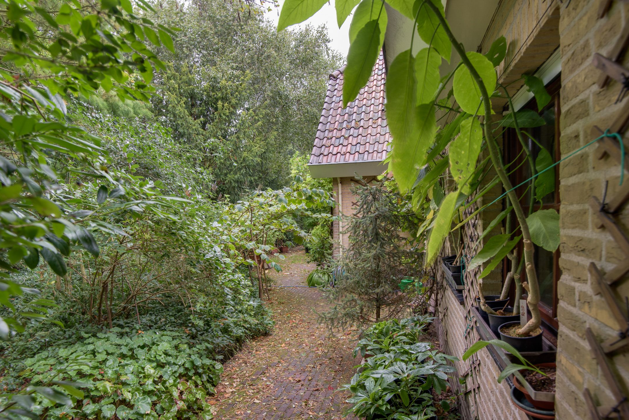 Photo 69 of Biezenweide 15