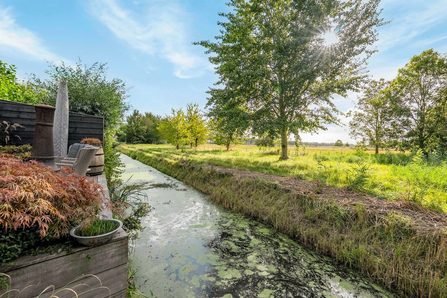 Foto 50 van Koedood 33-C