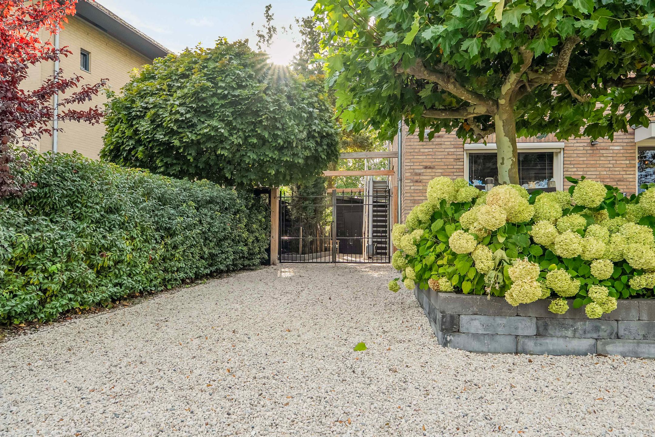 Foto 69 van Koedood 33-C