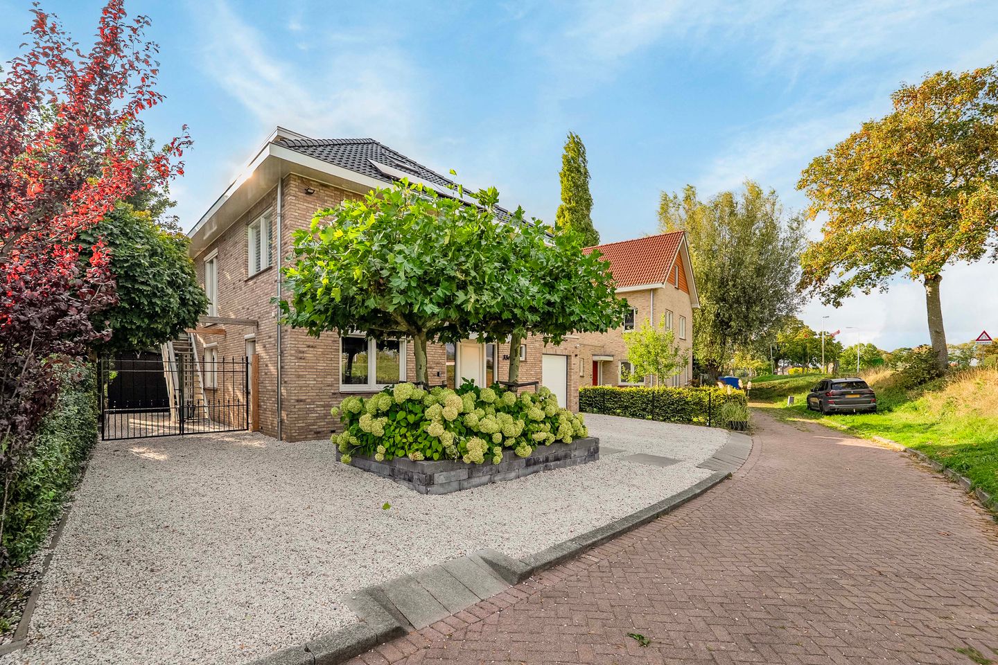 Foto 70 van Koedood 33-C