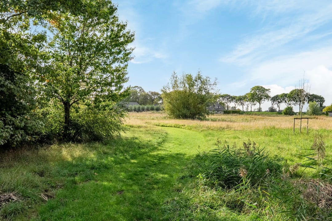 Foto 77 van Koedood 33-C