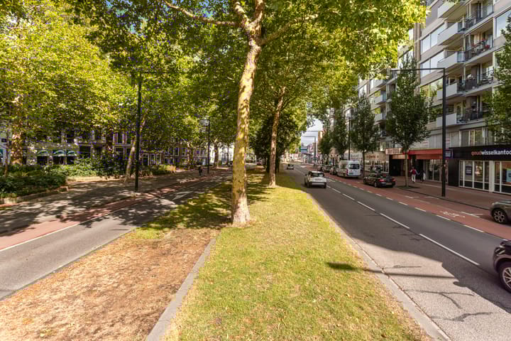 Foto 30 van Johan de Wittstraat 266