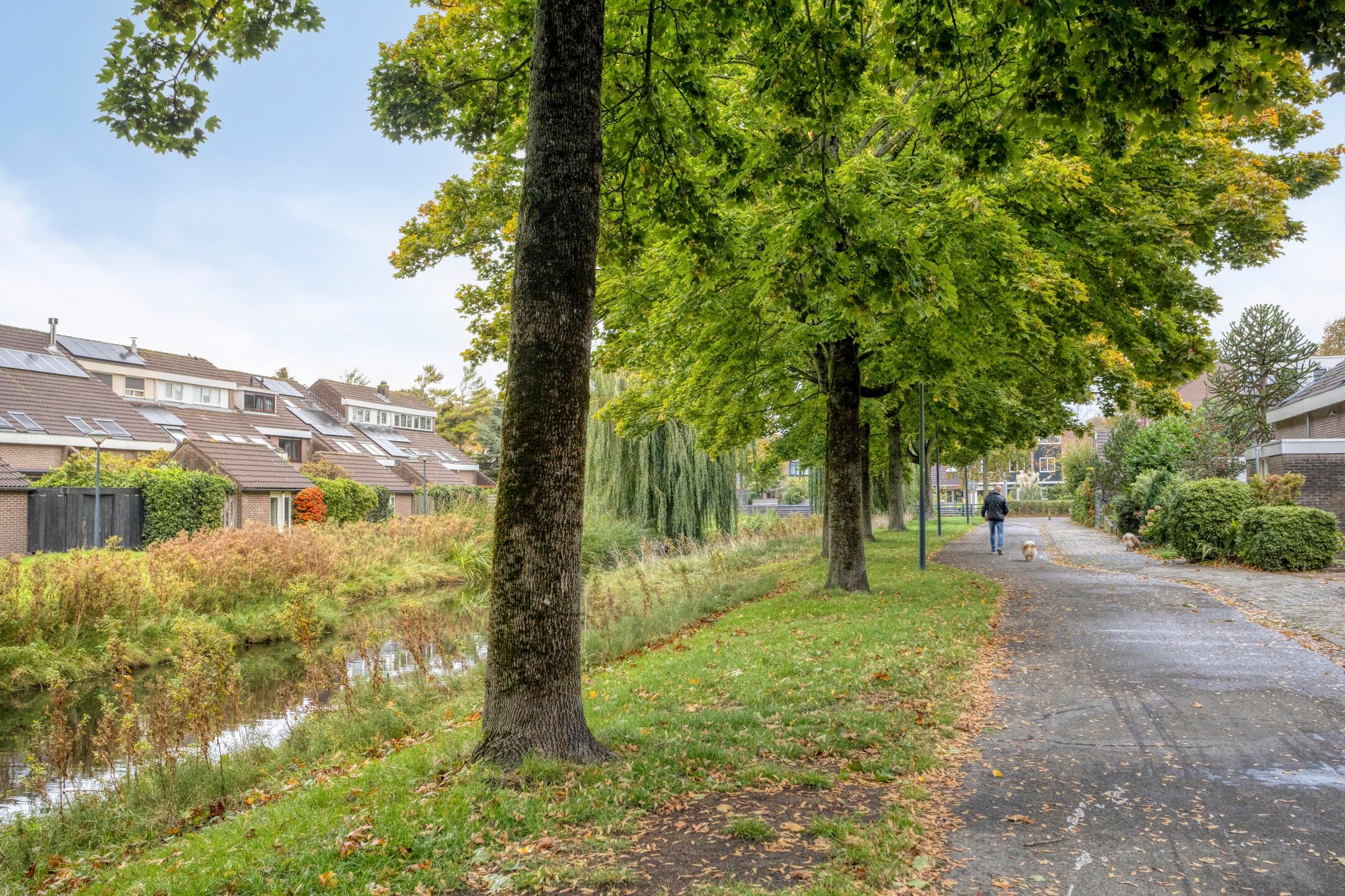 Photo 39 of De Wieken 138