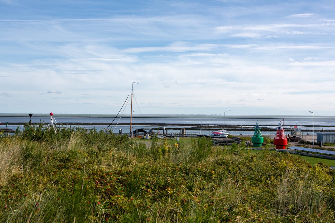 Foto 46 van Burgemeester van Heusdenweg 18