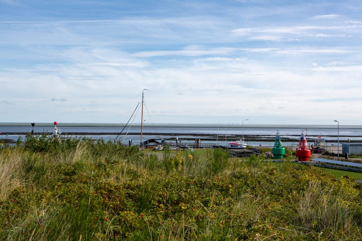 Photo 46 of Burgemeester van Heusdenweg 18