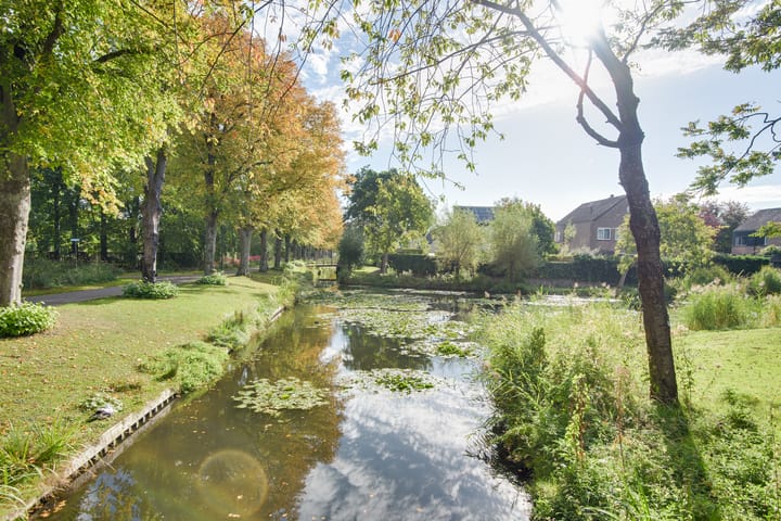 Foto 6 van Pieter de Hooghlaan 35