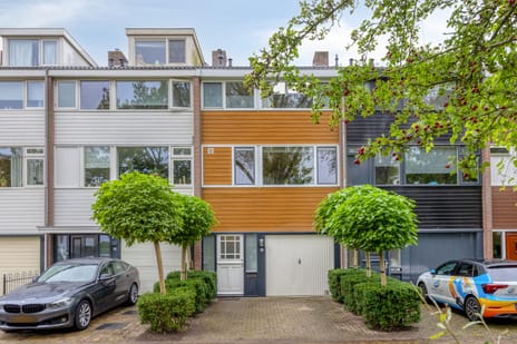 undefined main image