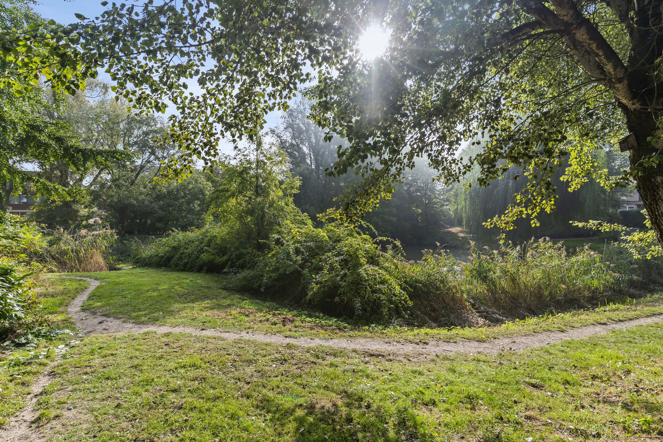 Foto 30 van Rijshoutstraat 22