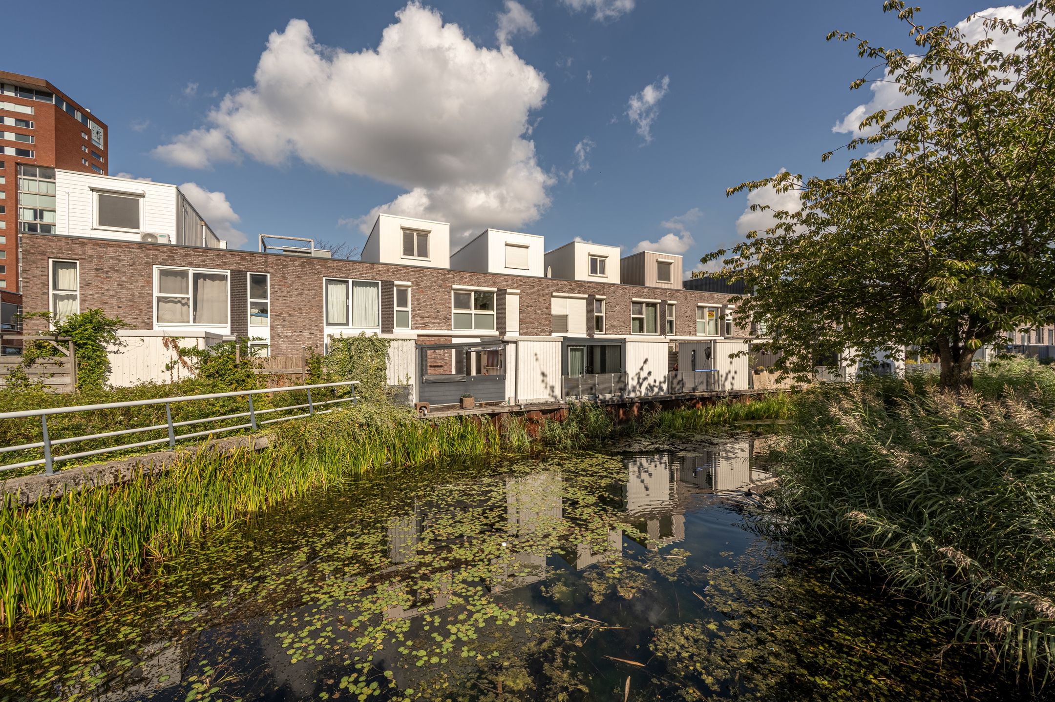 Foto 6 van Scharwater 5