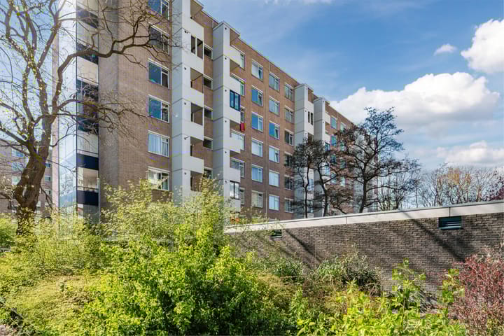 Foto 37 van Vlaskamp 512