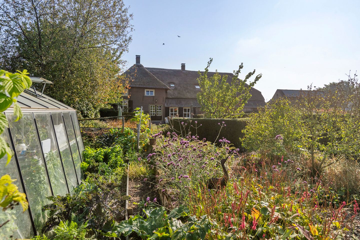 Foto 20 van Kerkpad 5