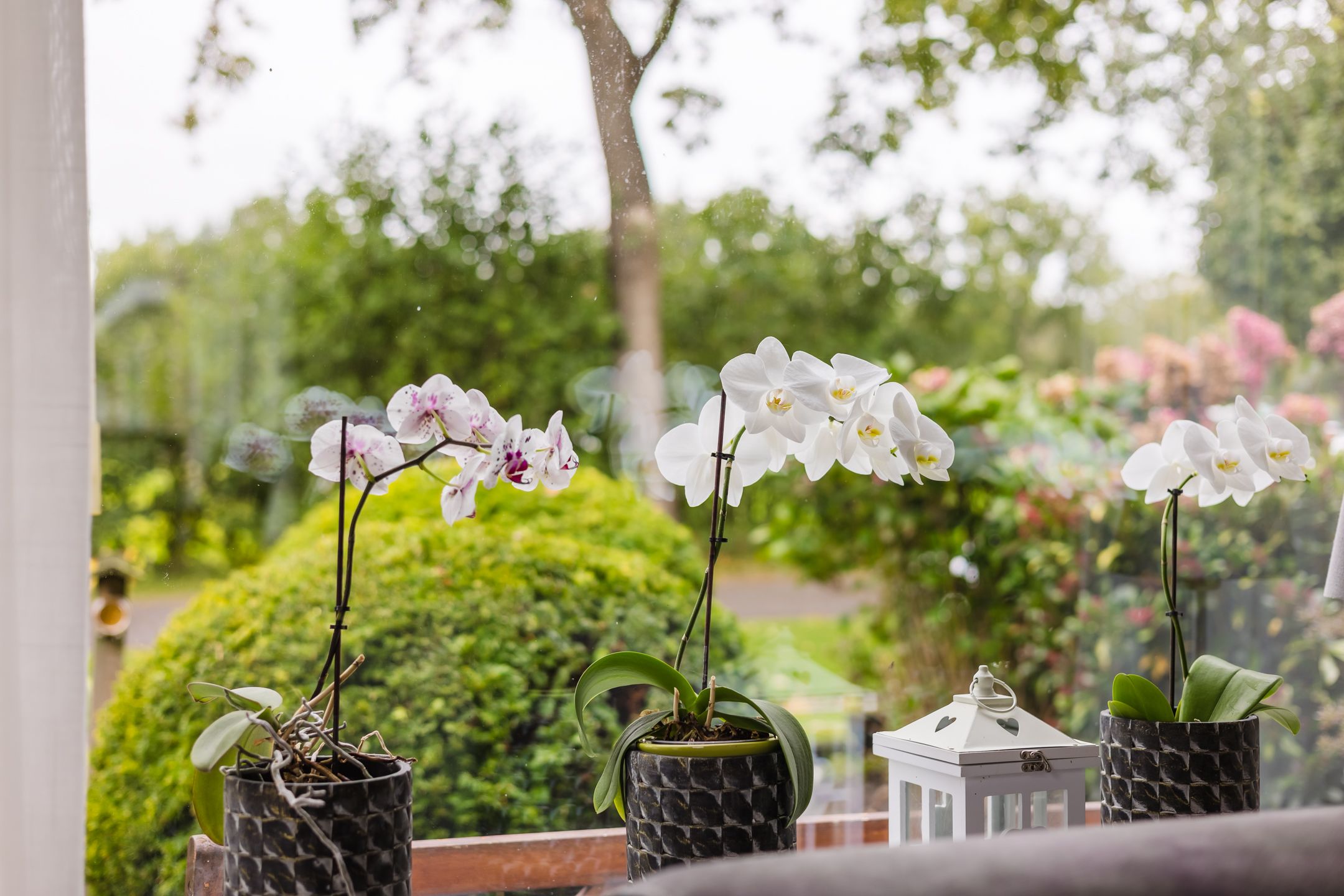 Foto 21 van Jelle Beenenwei 19