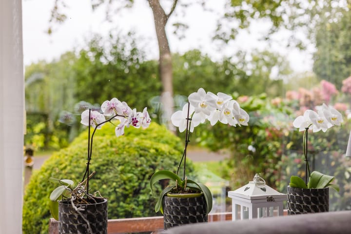 Foto 21 van Jelle Beenenwei 19