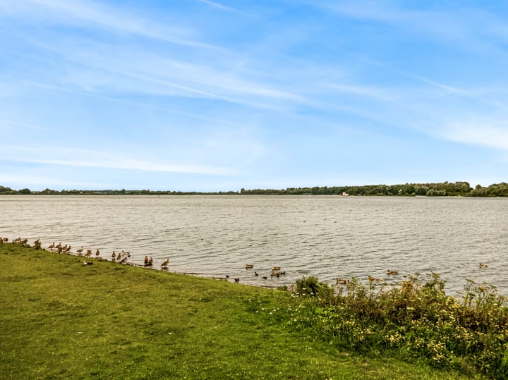 Foto 29 van Velddreef 154