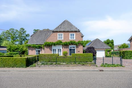 Peter Zuidstraat thumbnail