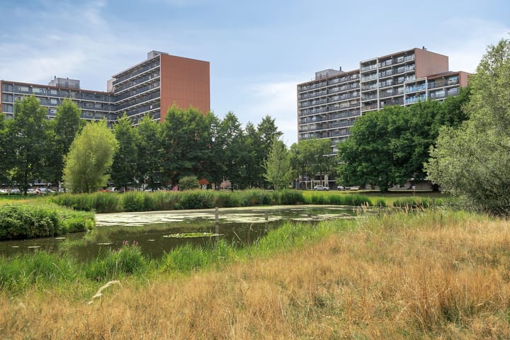 Foto 28 van Tolhuis 2532