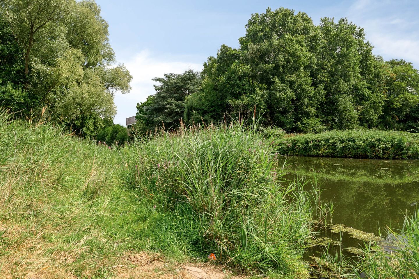 Photo 29 of Tolhuis 2532