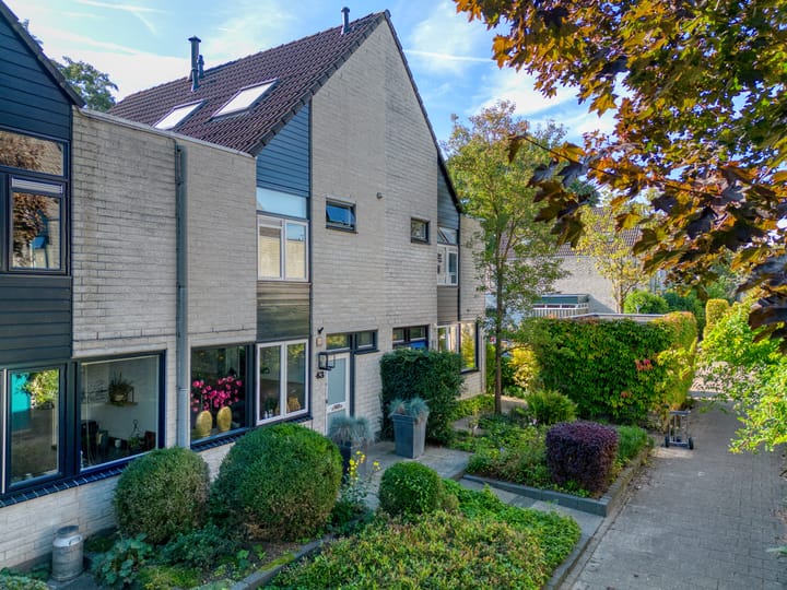 Van Brerostraat 43 main image