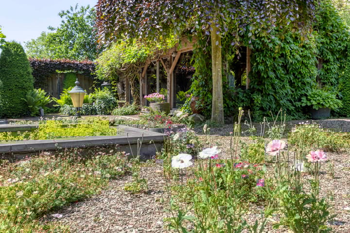 Photo 42 of Peter Zuidstraat 19