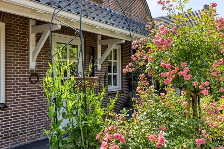 Photo 48 of Peter Zuidstraat 19