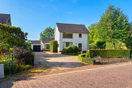 undefined main image