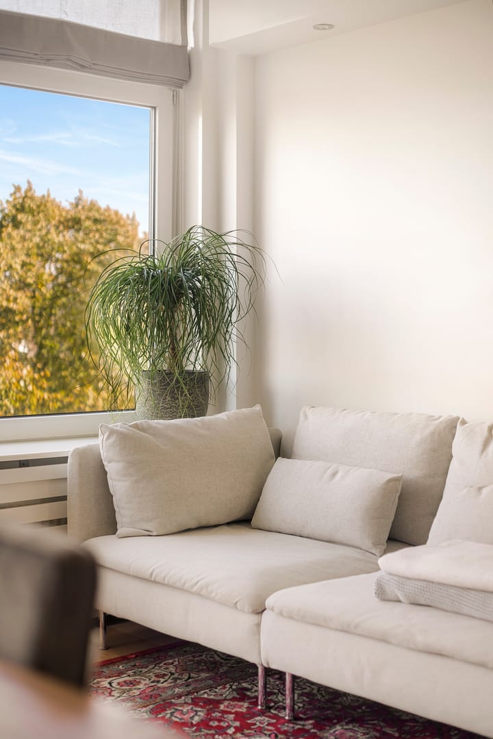 Photo 4 of Willem de Zwijgerlaan 313-3