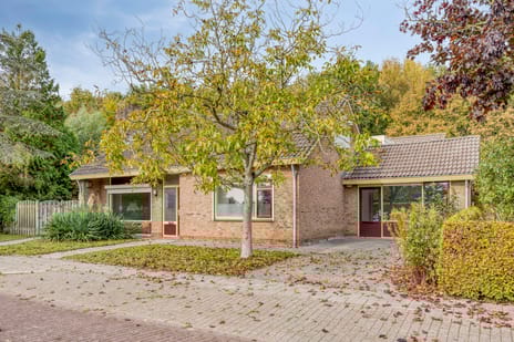 Bertiusstraat thumbnail