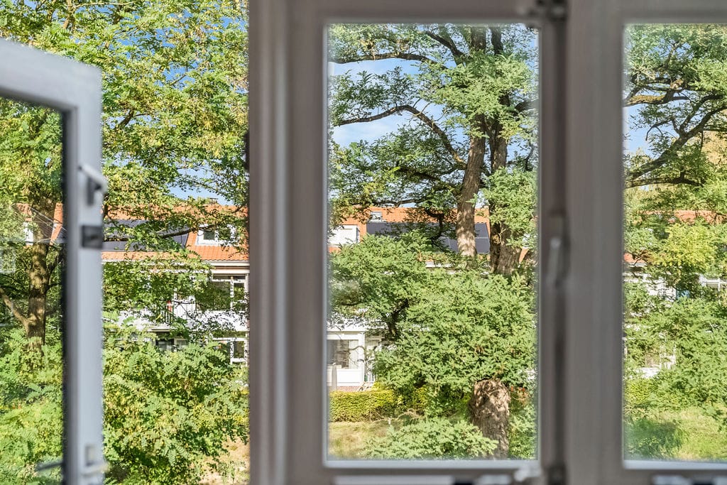 Foto 17 van Treublaan 31-B