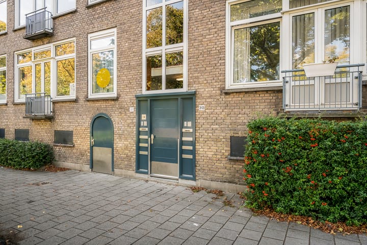 Foto 29 van Willem de Zwijgerlaan 313-3