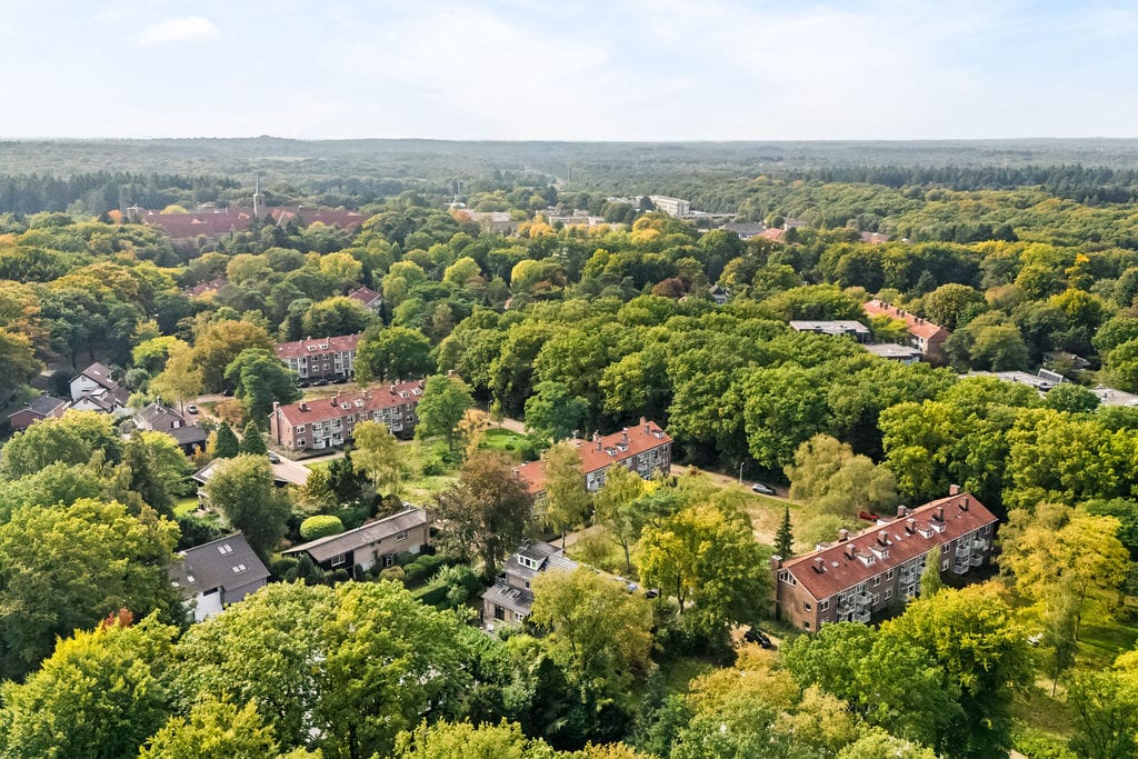 Foto 26 van Treublaan 31-B