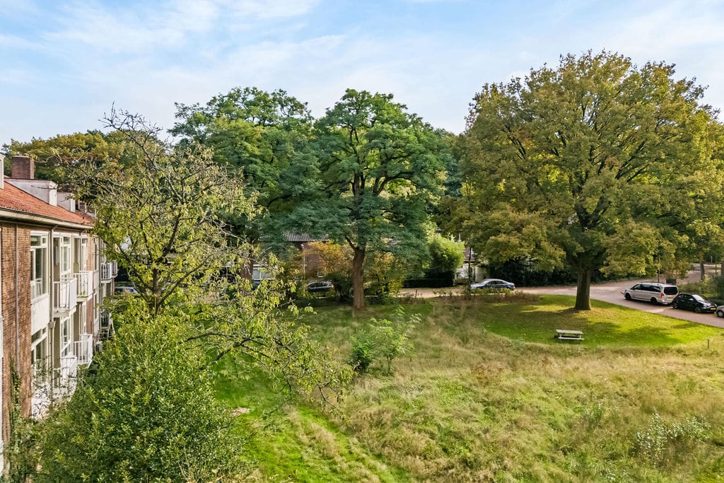 Foto 27 van Treublaan 31-B