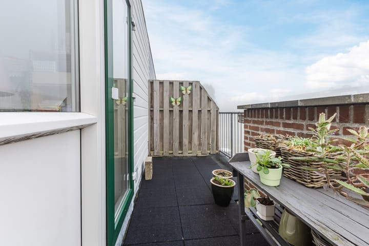 Foto 24 van Citroenvlinder 23