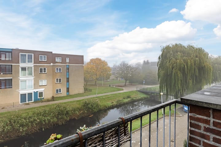 Foto 26 van Citroenvlinder 23