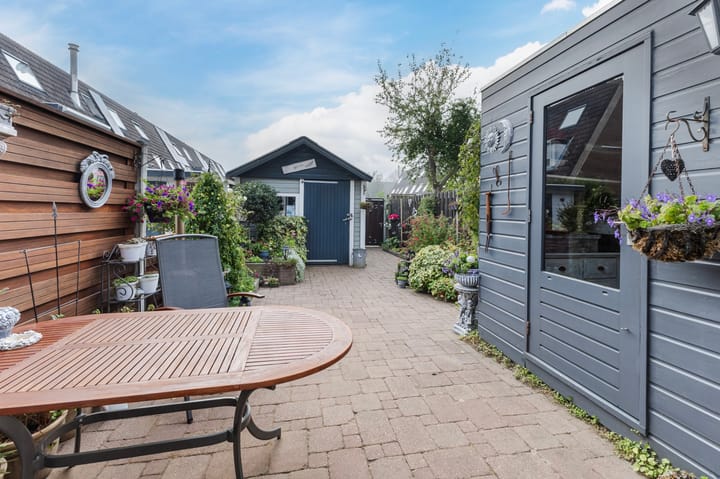 Foto 27 van Citroenvlinder 23