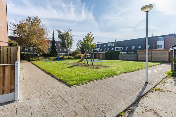 Foto 31 van Citroenvlinder 23