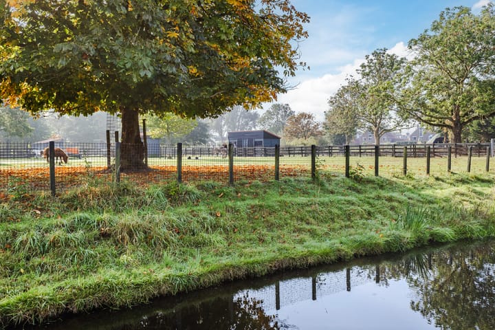 Foto 32 van Citroenvlinder 23