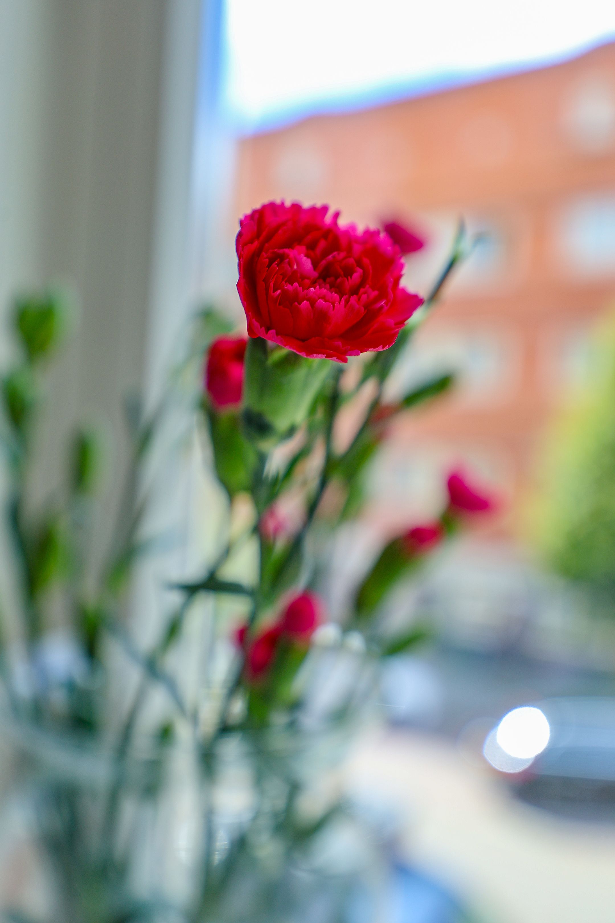 Foto 30 van Oostzaanstraat 62