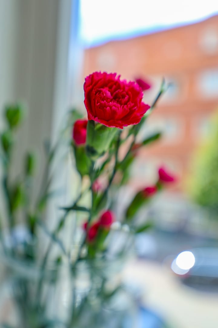 Foto 30 van Oostzaanstraat 62