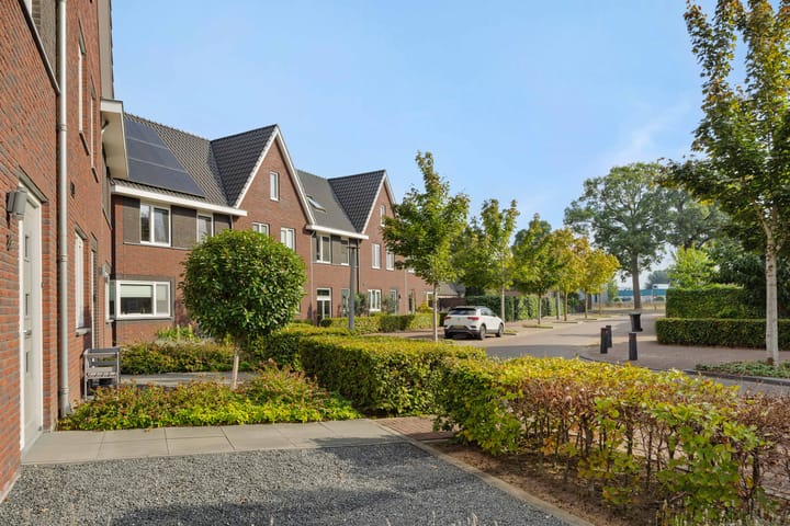 Photo 39 of Peelven 8-A