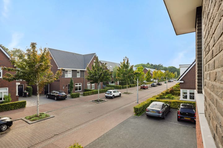 Photo 42 of Peelven 8-A