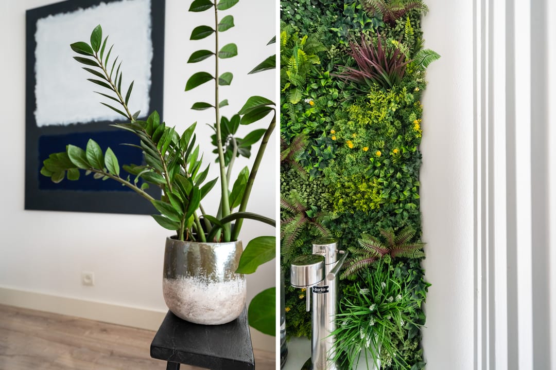 Foto 23 van Eksterstraat 1