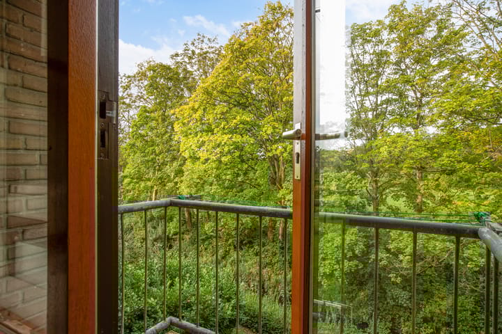 Foto 20 van Willem de Rijkelaan 166