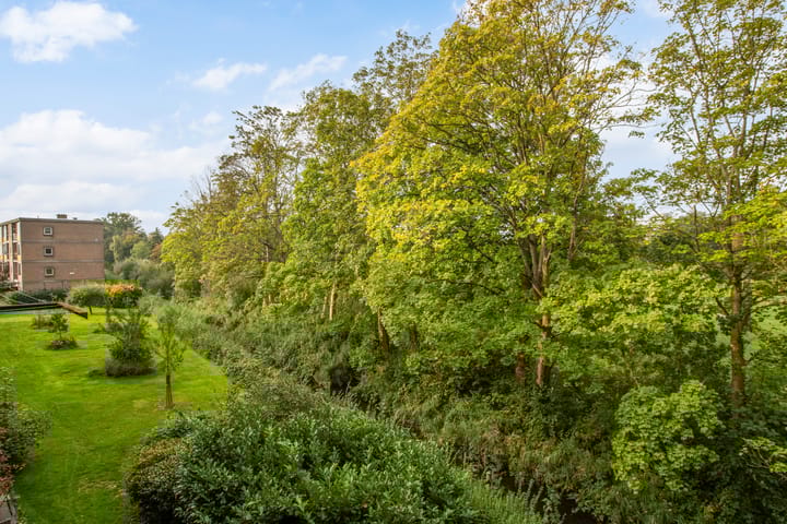 Foto 30 van Willem de Rijkelaan 166