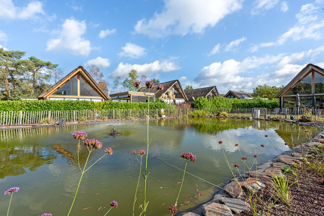 Foto 23 van Kievit 12-B711