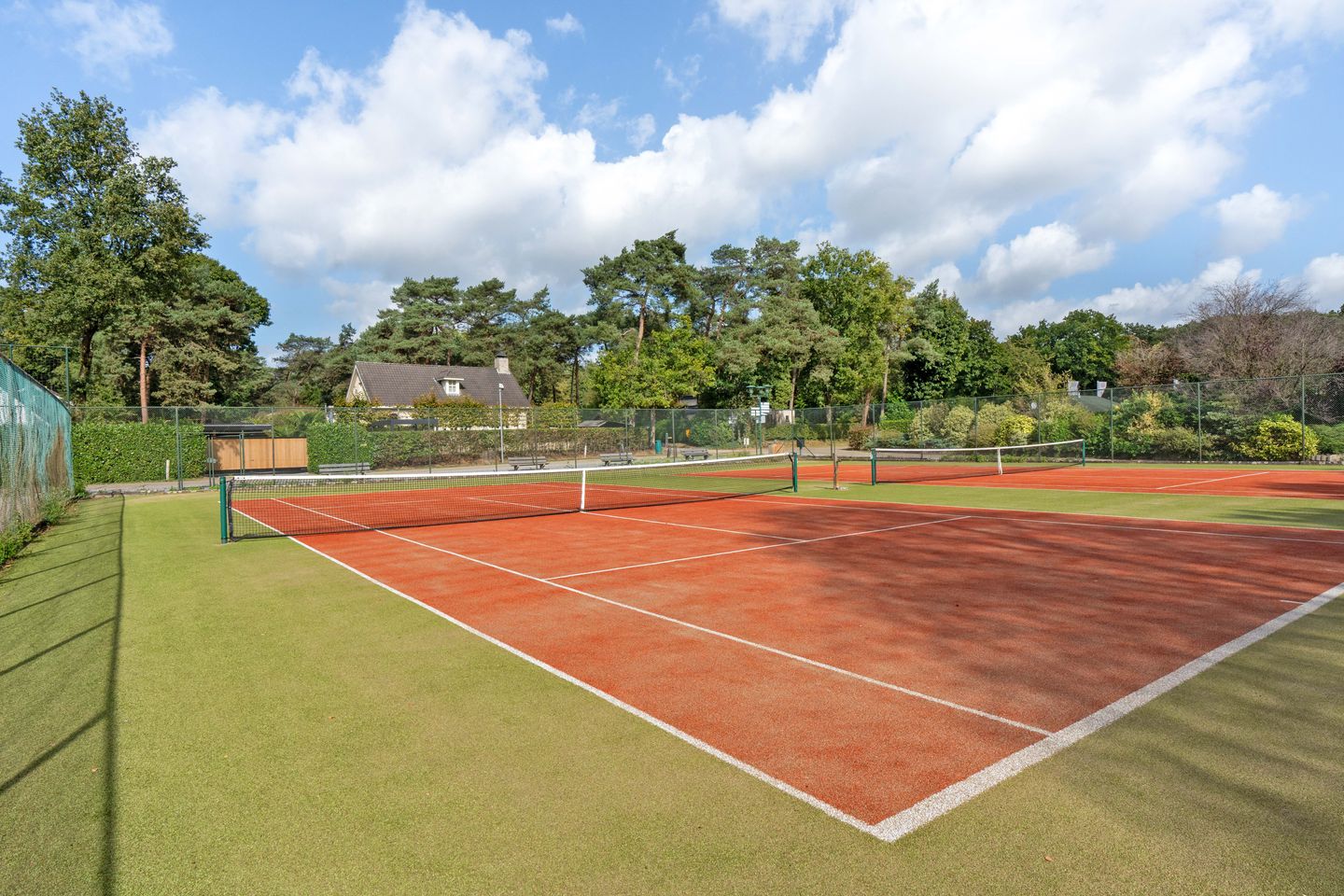 Foto 25 van Kievit 12-B711