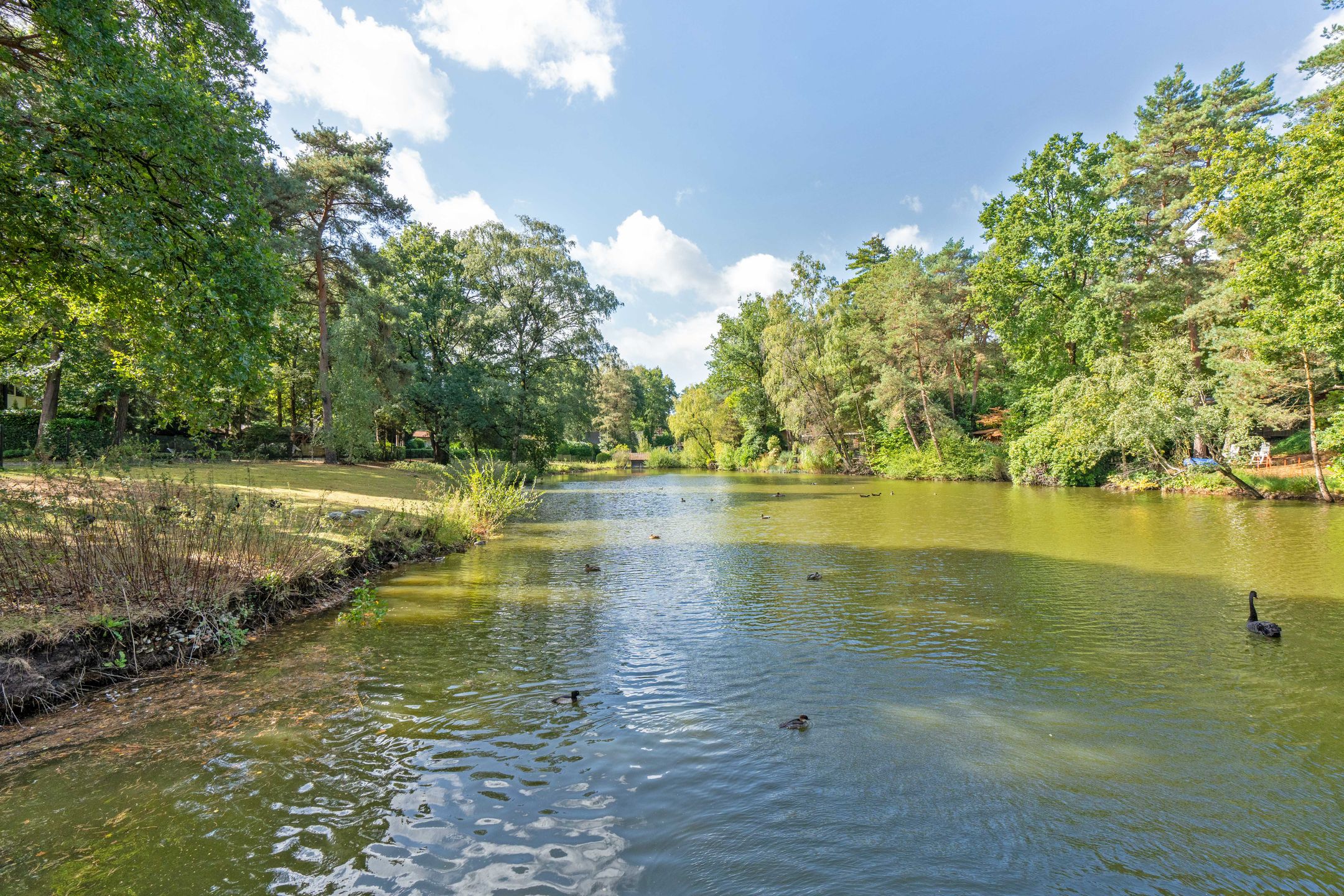 Foto 27 van Kievit 12-B711